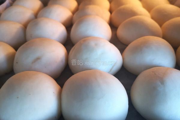 红豆沙小餐包的做法图解9