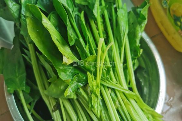 鸡蛋菠菜汤的做法图解1