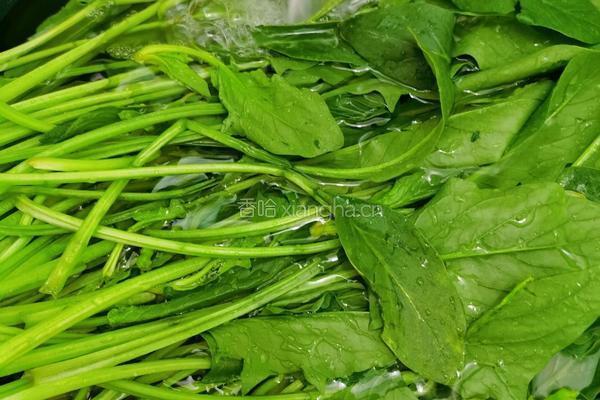 菠菜汤的做法图解1