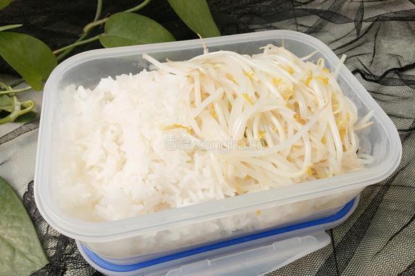 清炒豆芽便当的做法图解5