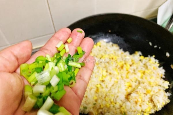 传统蛋炒饭便当的做法图解9