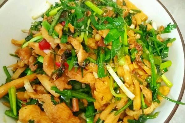 杏鲍菇烧鸡脯肉