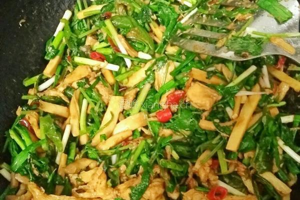 杏鲍菇烧鸡脯肉的做法图解5
