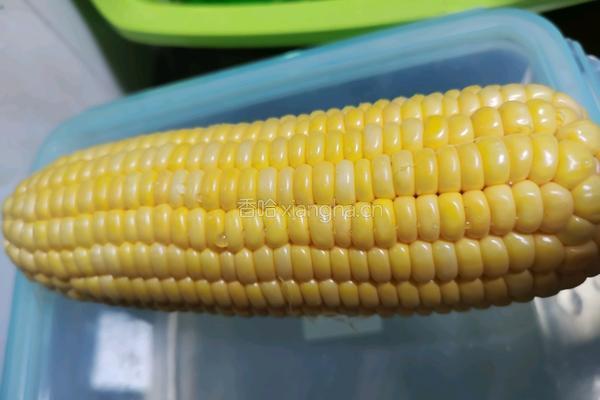 香甜玉米汁的做法图解1