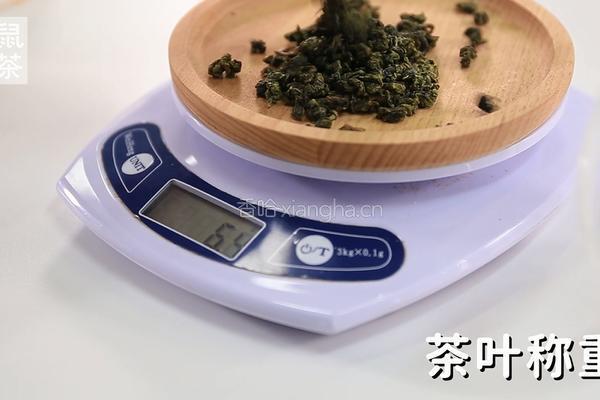 四季春茶汤的做法（松鼠茶茶奶茶教程）的做法图解2