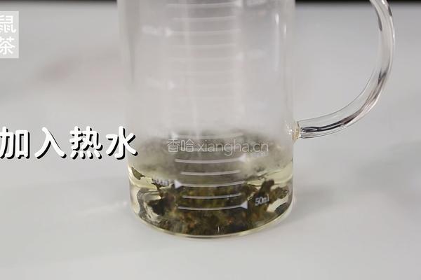 四季春茶汤的做法（松鼠茶茶奶茶教程）的做法图解3
