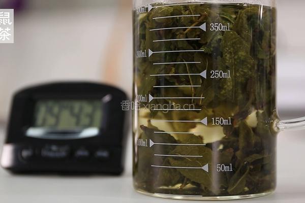 四季春茶汤的做法（松鼠茶茶奶茶教程）的做法图解5