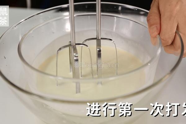 芝士奶盖的做法（松鼠茶茶奶茶教程）的做法图解6