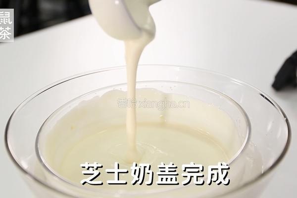 芝士奶盖的做法（松鼠茶茶奶茶教程）的做法图解10