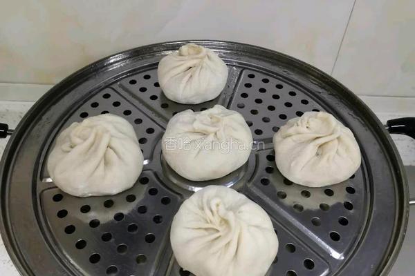 40分钟快手牛肉馅大包子的做法图解14