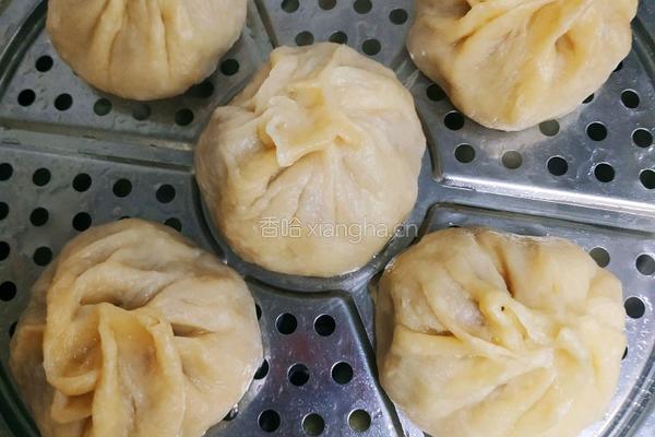 40分钟快手牛肉馅大包子的做法图解15
