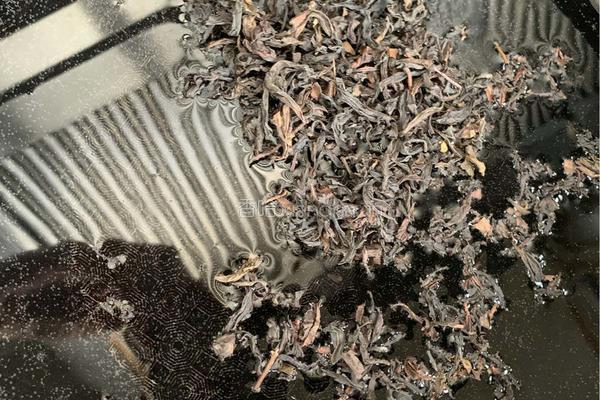 珍珠奶茶的做法图解14