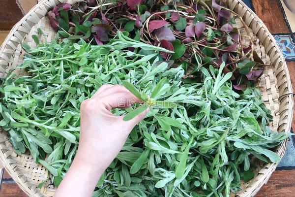 家庭版青团（清明粑）的做法图解1