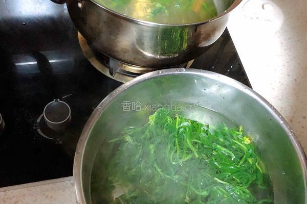 家庭版青团（清明粑）的做法图解8