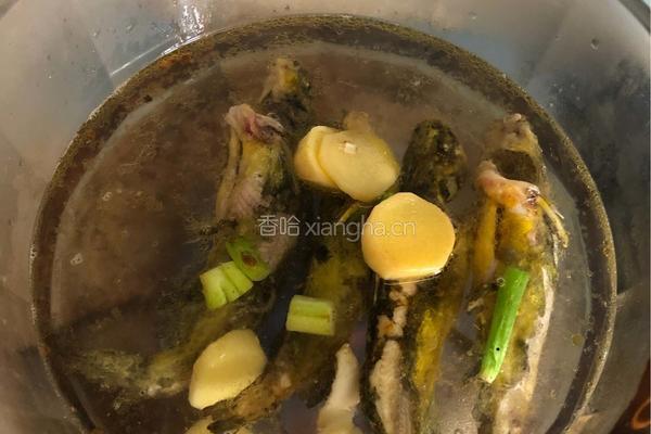 豆腐昂刺鱼的做法图解5