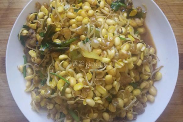 豆芽炒肉的做法图解8