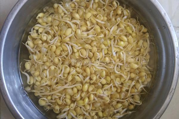 豆芽炒肉的做法图解1