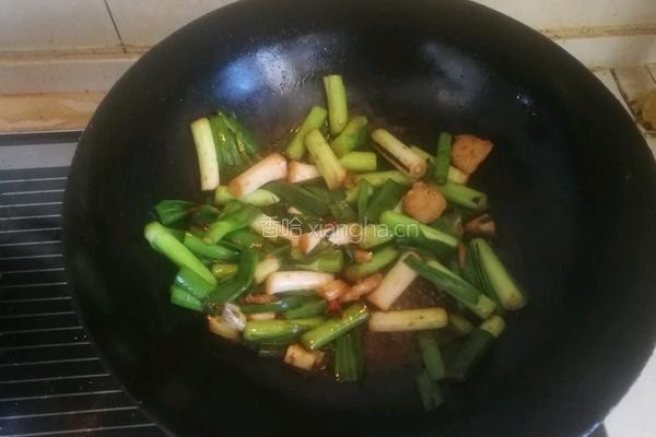 青蒜炒肉的做法图解5