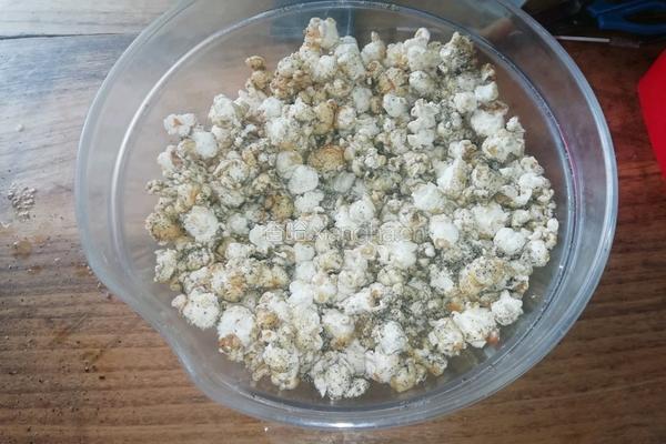 海苔味甜脆爆米花的做法图解6