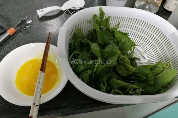 桑叶鸡蛋汤的做法图解1