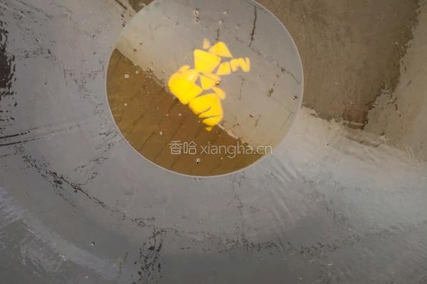 红烧鱼的做法图解4