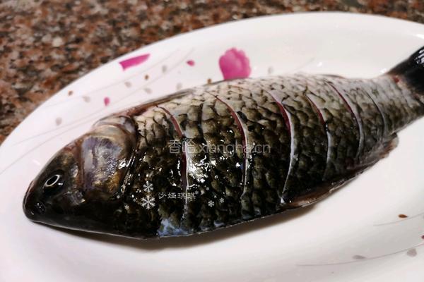 牛肉酱焖鲫鱼的做法图解3