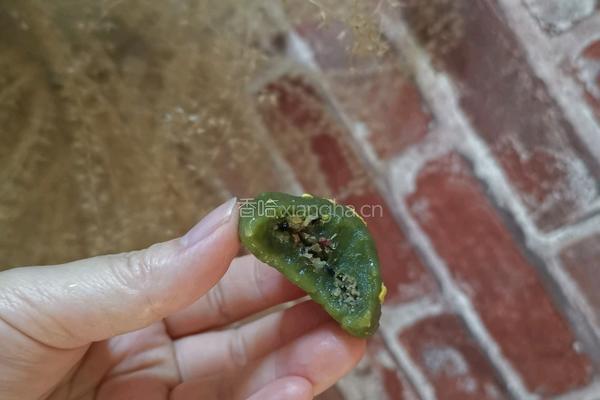 芝麻花生青团的做法图解12