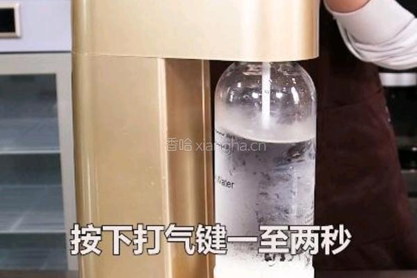 百香凤梨气泡水的做法图解3