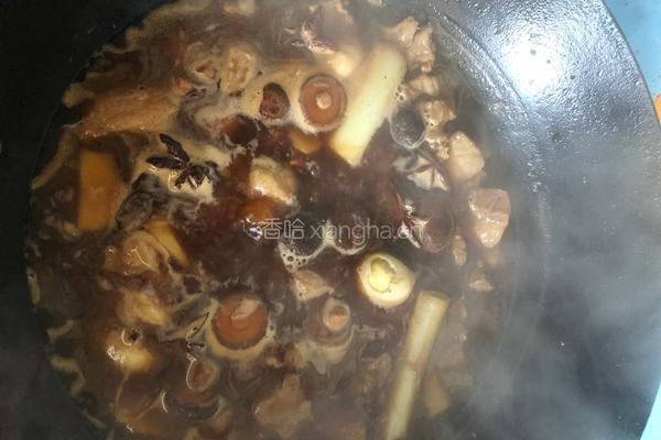 酱汁牛腩饭的做法图解8