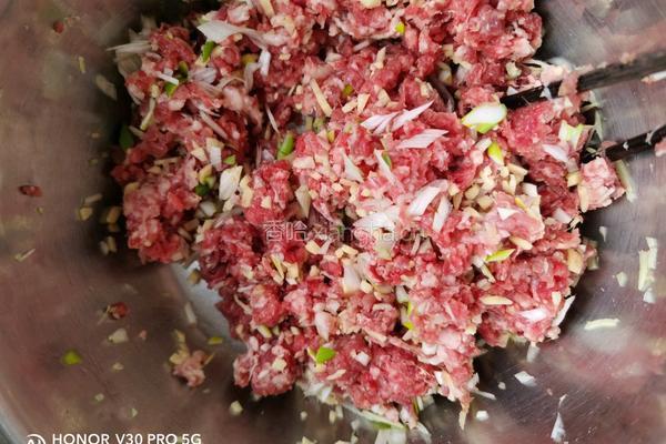 牛肉烧麦的做法图解1