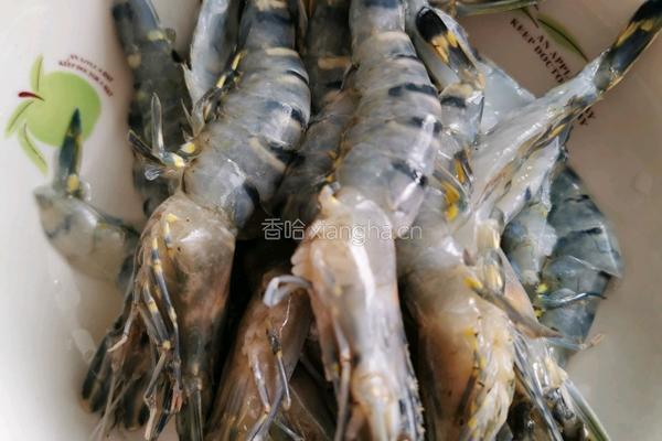 清蒸蒜香黑虎虾的做法图解1