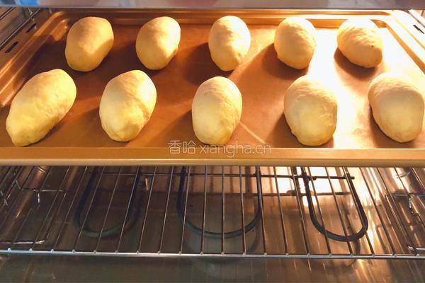 芝士肉松酸奶包的做法图解18