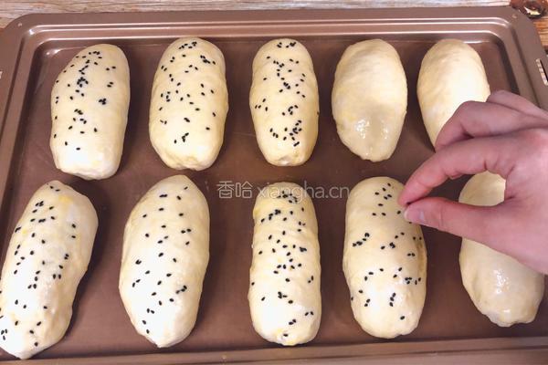 芝士肉松酸奶包的做法图解20
