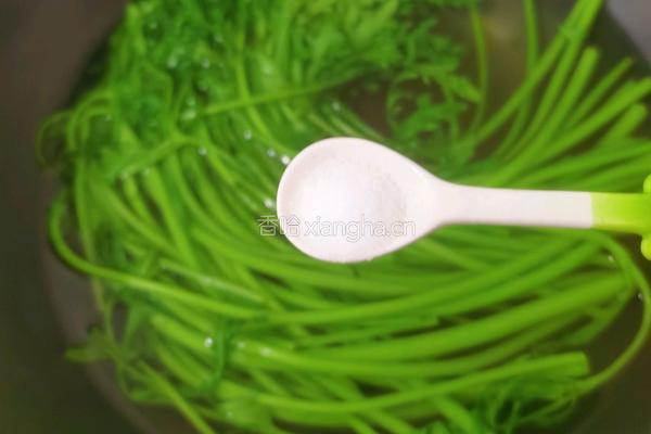 白灼茼蒿的做法图解4