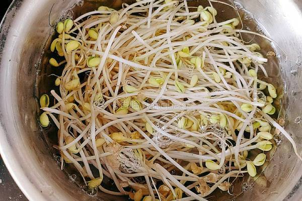 大脚菌豆芽牛腱汤的做法图解15