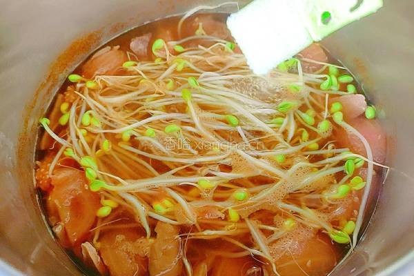 大脚菌豆芽牛腱汤的做法图解17