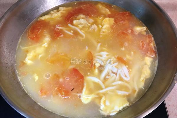 西红柿鸡蛋剪刀面的做法图解15