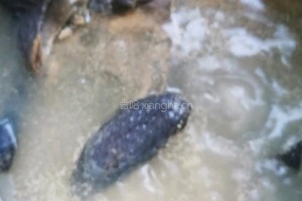 黑豆桃仁乌鸡汤的做法图解2