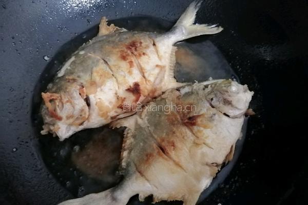 红烧金鲳鱼的做法图解6