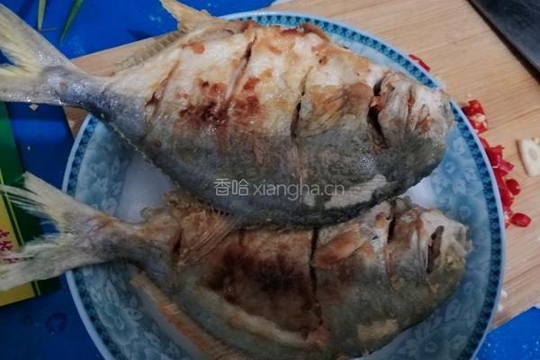 红烧金鲳鱼的做法图解7