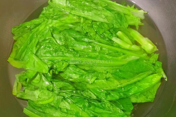 白灼油麦菜的做法图解4