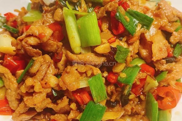 家常版湘菜肉炒肉的做法图解7