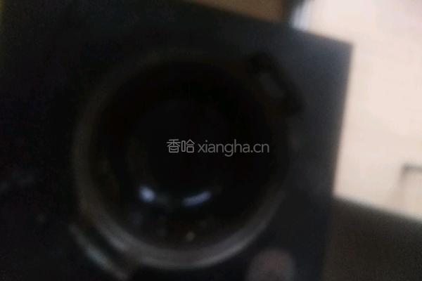 西葫芦炒鸡蛋的做法图解8