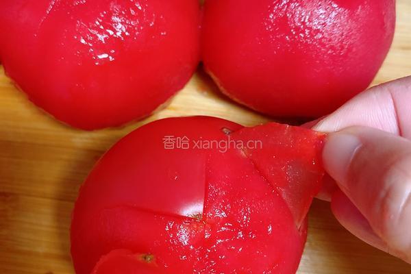 西红柿炖牛腩的做法图解3