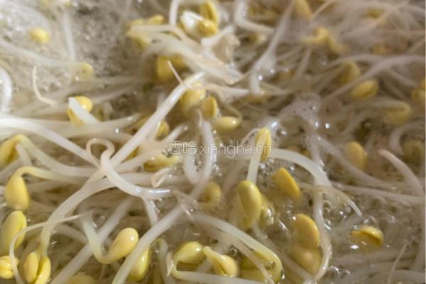 家常黄豆猪蹄的做法图解17