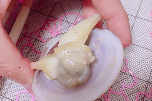 清水煮花蛤的做法图解5