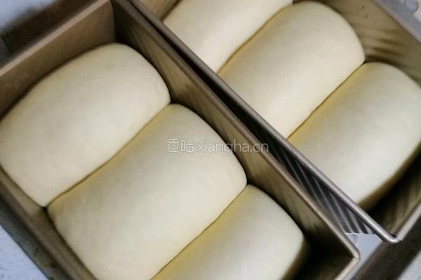 牛奶土司的做法图解5