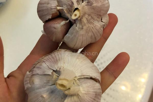 油焖大虾的做法图解2