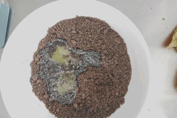 草莓酸奶巧克力慕斯的做法图解2