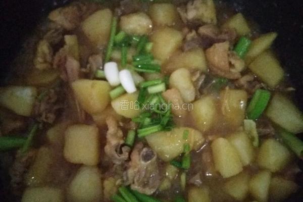土豆焖鸡肉的做法图解14